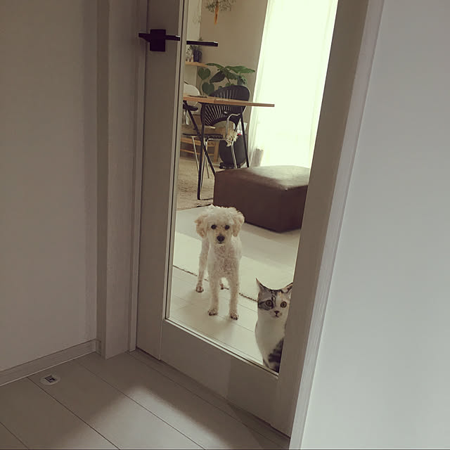 mikkumikuさんの実例写真