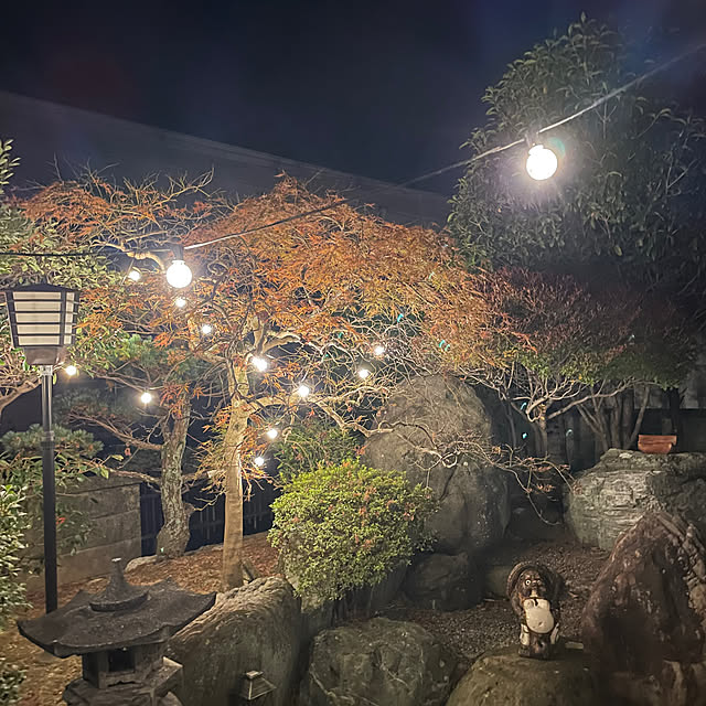 shin0719さんの実例写真