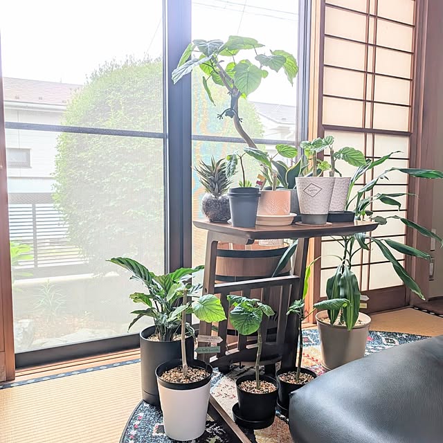 naoporonさんの実例写真