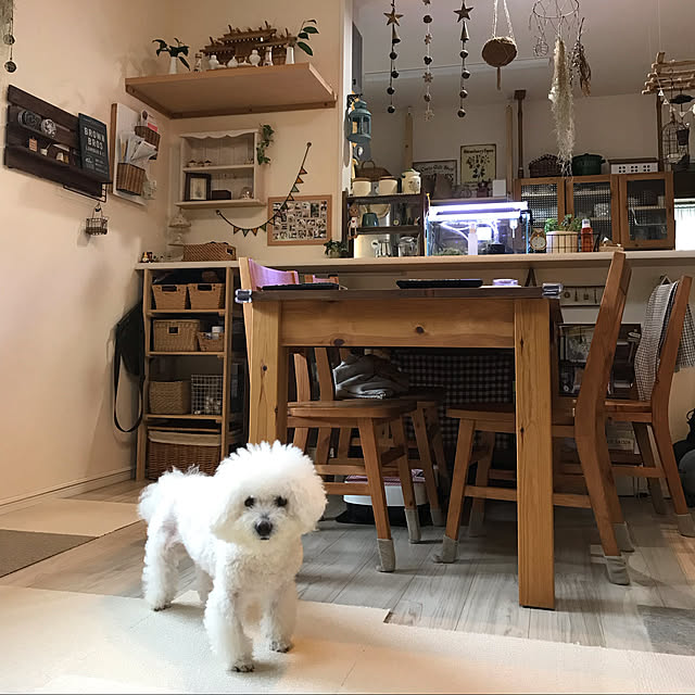 hana.hanaさんの実例写真