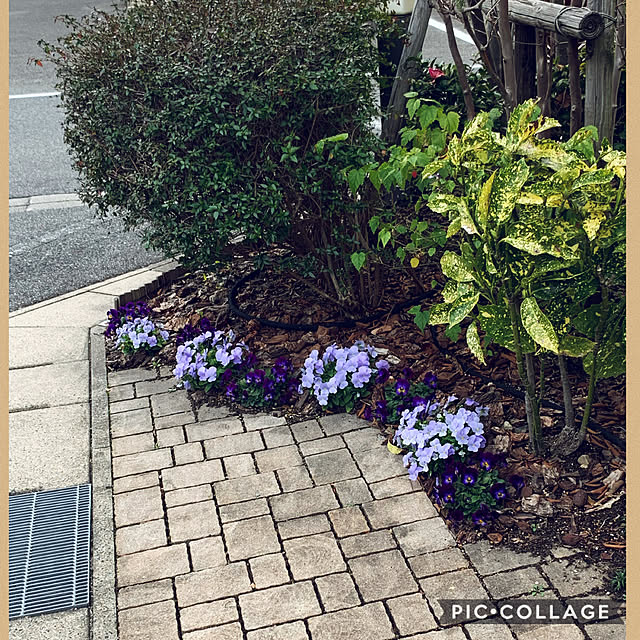 yukarin-gardenさんの実例写真