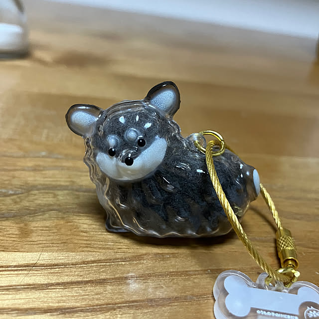 koroさんの実例写真