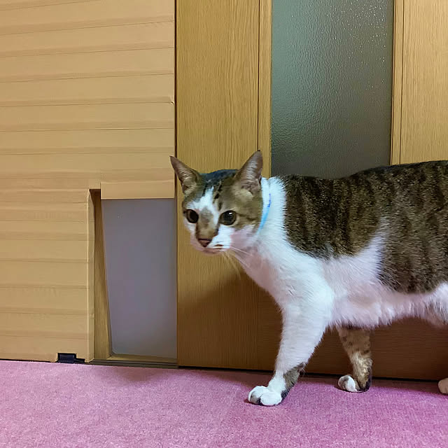 haruminさんの部屋