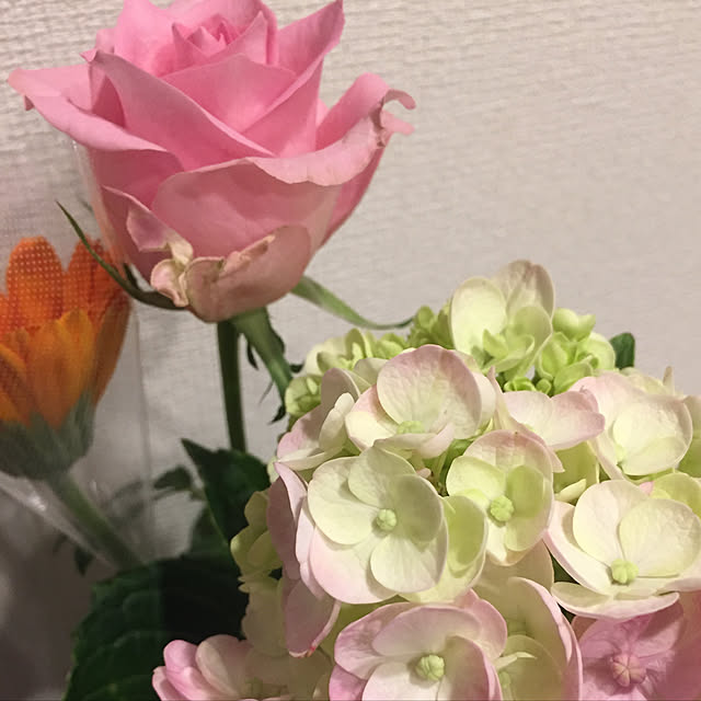 sola_coさんの実例写真