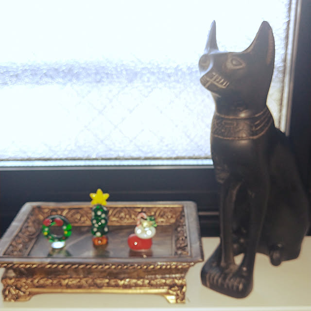miumiuさんの実例写真