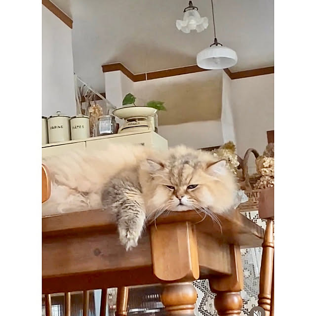 teddyさんの実例写真