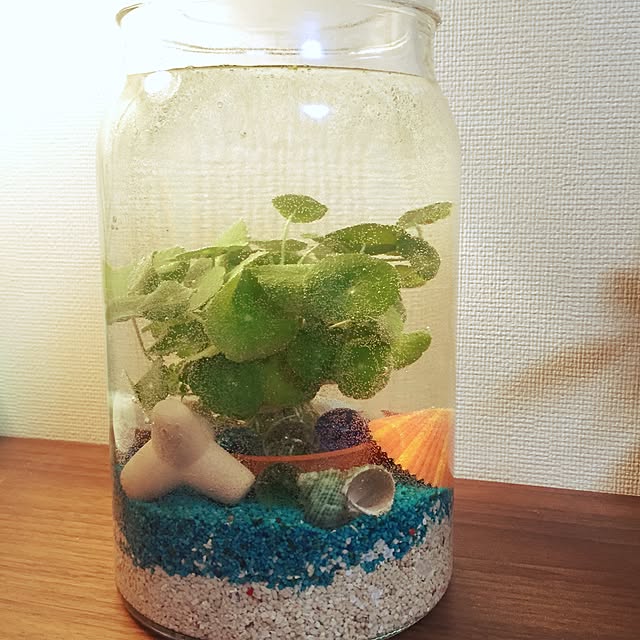 rieさんの実例写真