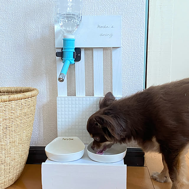 takaさんの実例写真