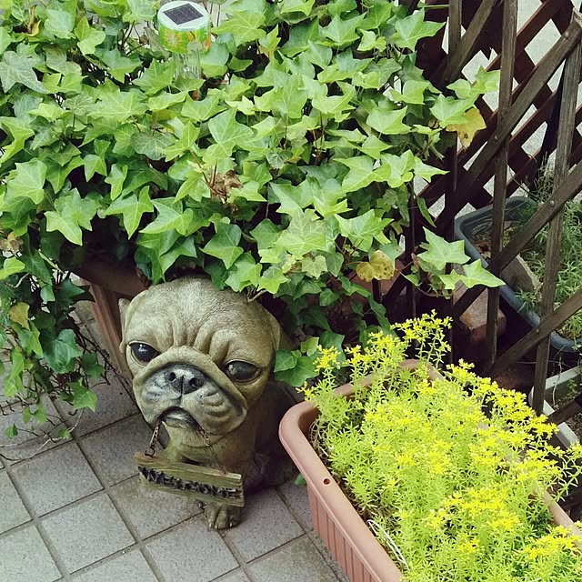 satoさんの実例写真