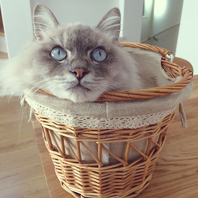 32さんの実例写真
