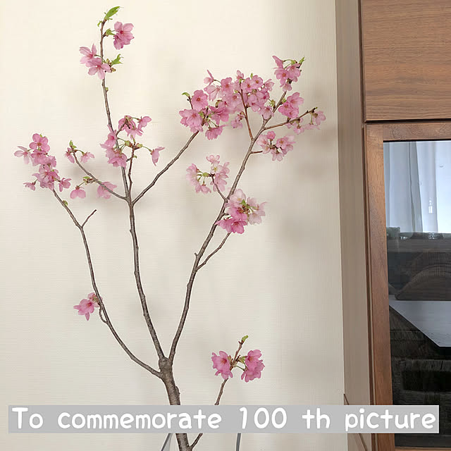 jasmineさんの実例写真