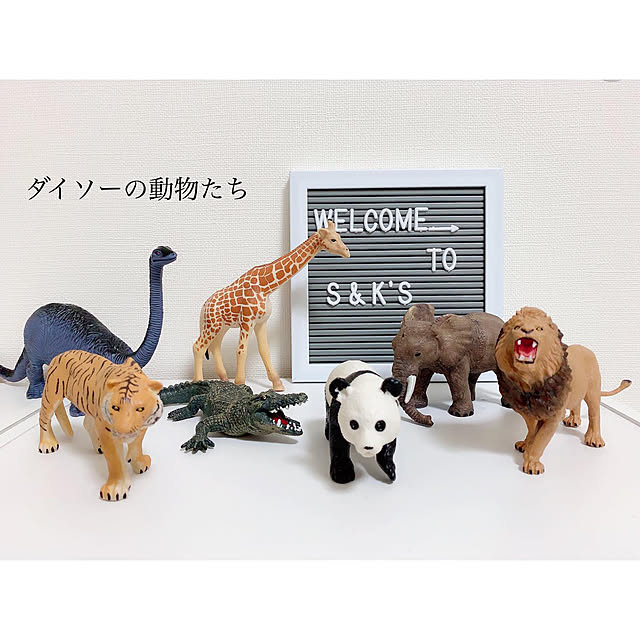chaluさんの実例写真