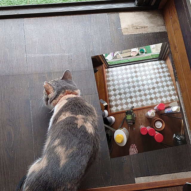 fukuさんの実例写真