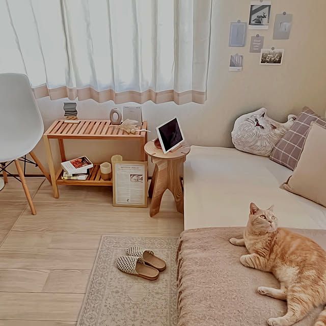 kiyomiさんの実例写真