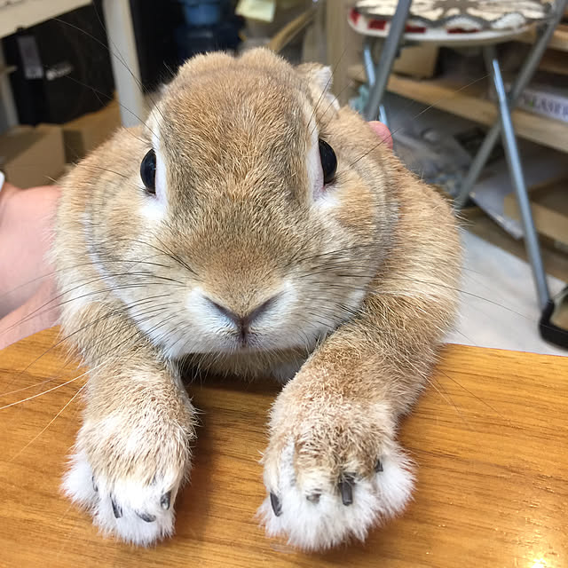 Yasuyukiさんの実例写真