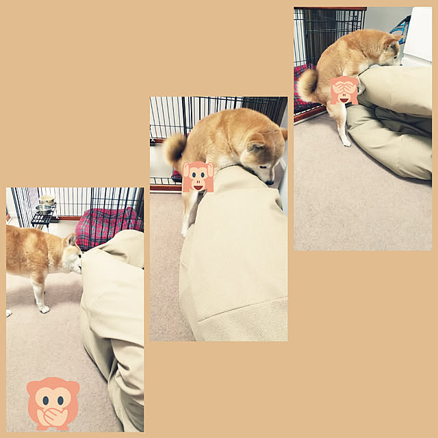 ponhanaさんの実例写真