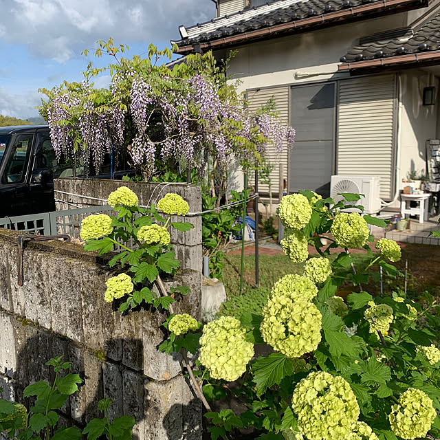 cyaroさんの実例写真