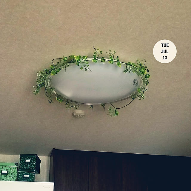 takoさんの実例写真