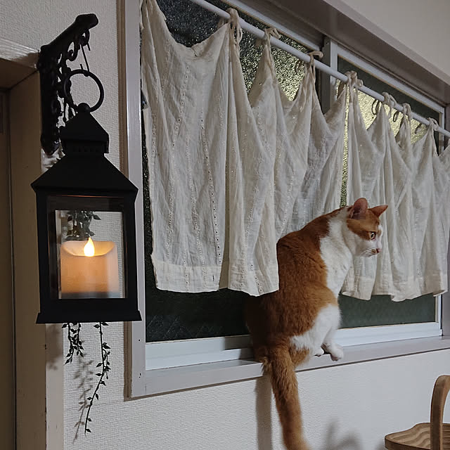 mugi77327732さんの実例写真