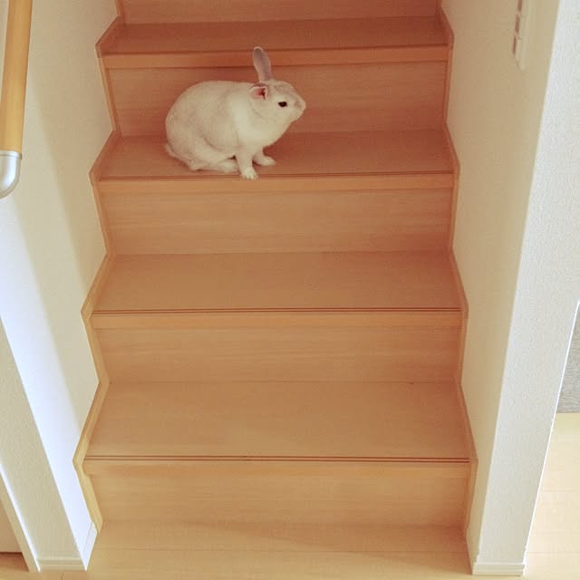 705さんの実例写真