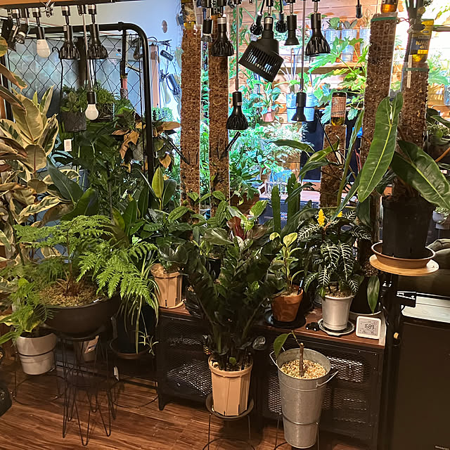 harumakiさんの部屋