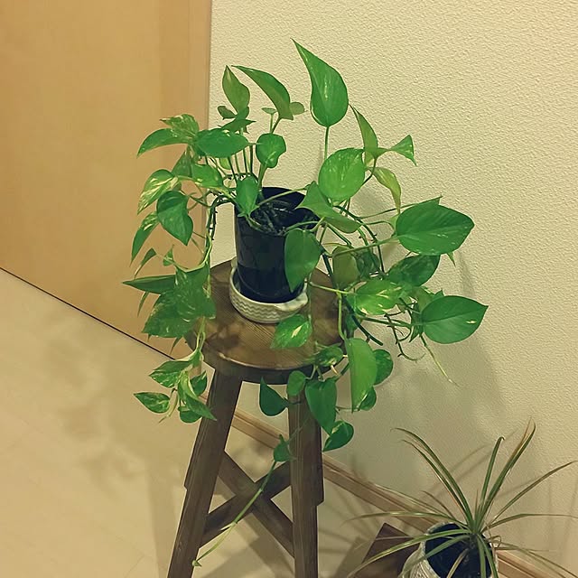 KOHAKUさんの実例写真