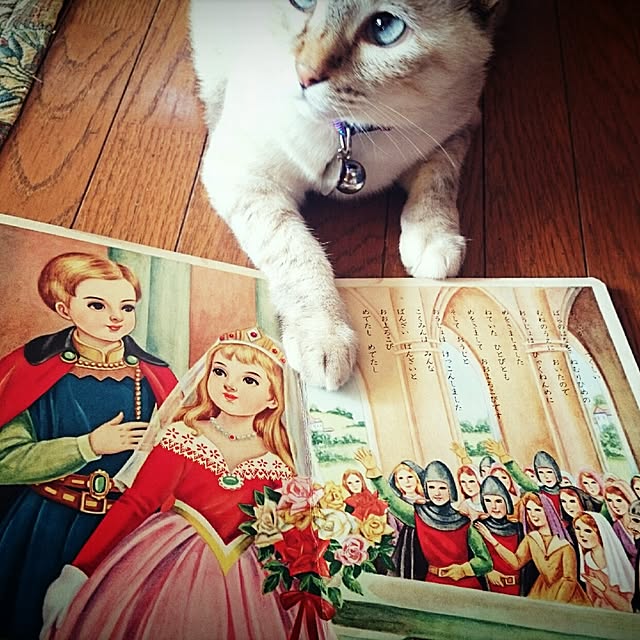 実例写真
