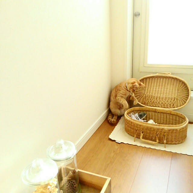 mayutan.さんの実例写真