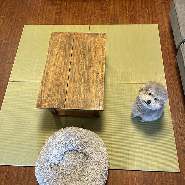meguko.ryanさんの実例写真