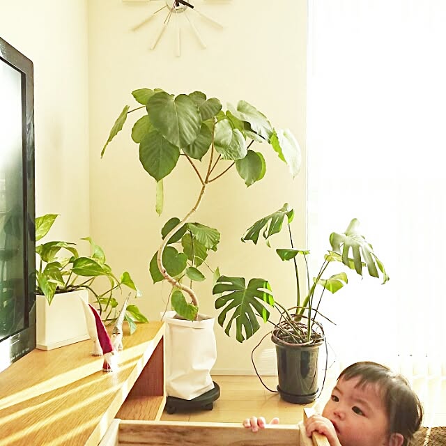 sa-さんの実例写真