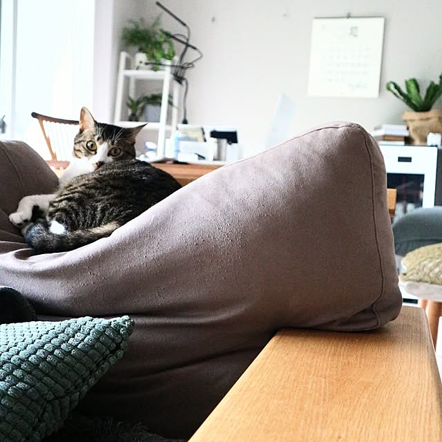 hanacocoさんの実例写真