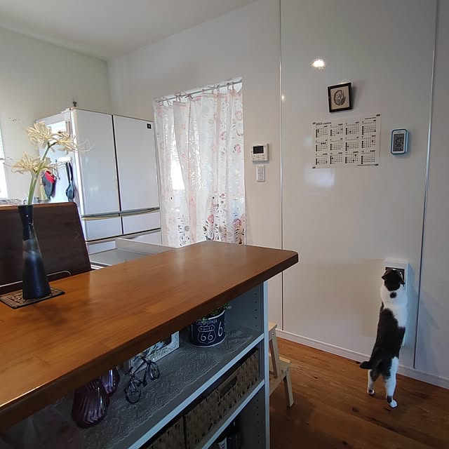 38catさんの実例写真