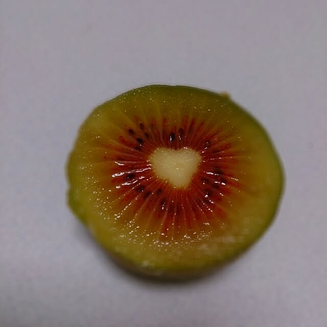 aiaiさんの実例写真