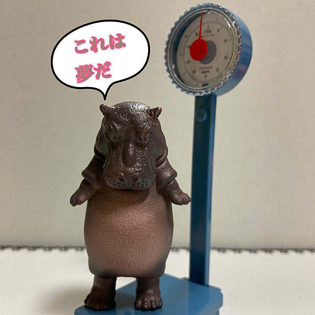 manduonmaさんの部屋