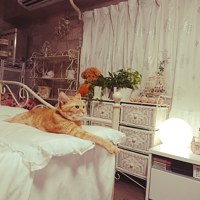 asuminさんの実例写真