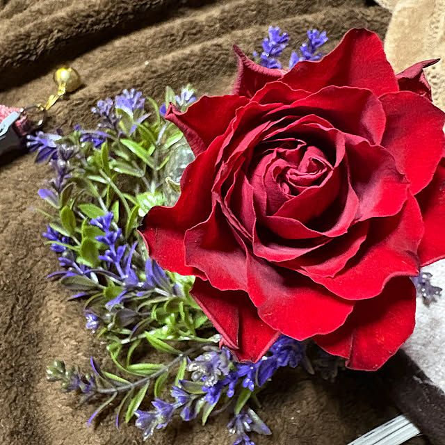 pandasさんの部屋