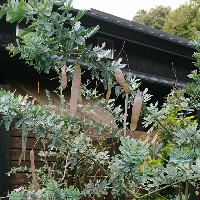 nscraftworksさんの実例写真