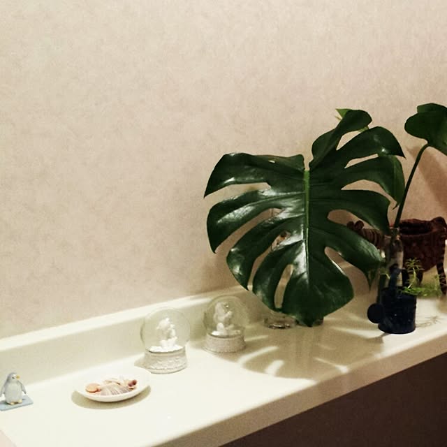 Koheiさんの実例写真