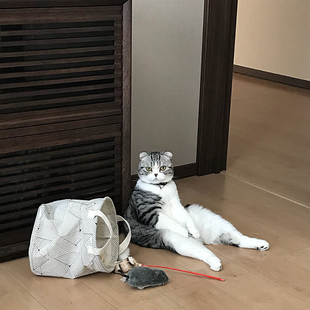 Dahliaさんの実例写真