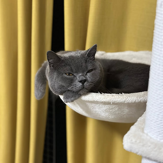 kittyさんの部屋