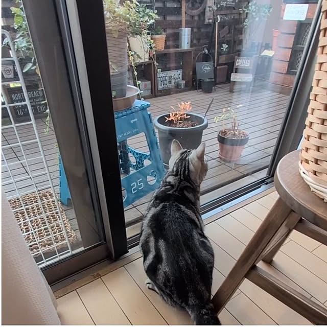 lovepeaceさんの実例写真