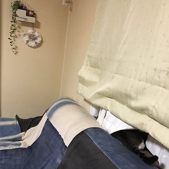kimikimiさんの実例写真