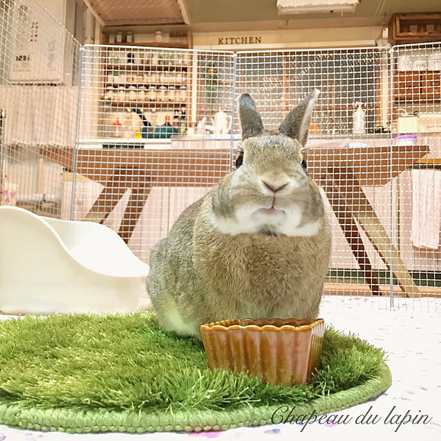 mashiさんの実例写真