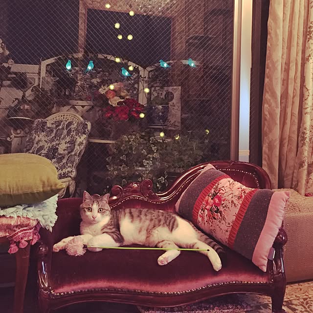 emmyyさんの実例写真