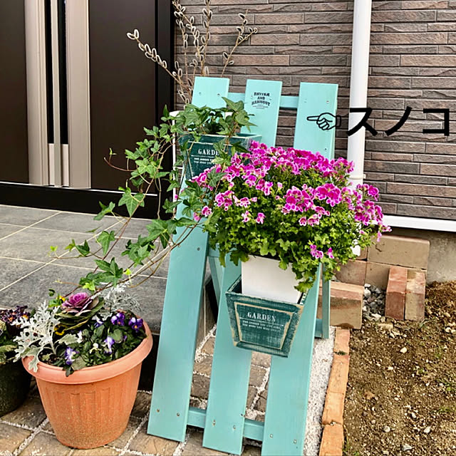 dreamさんの実例写真
