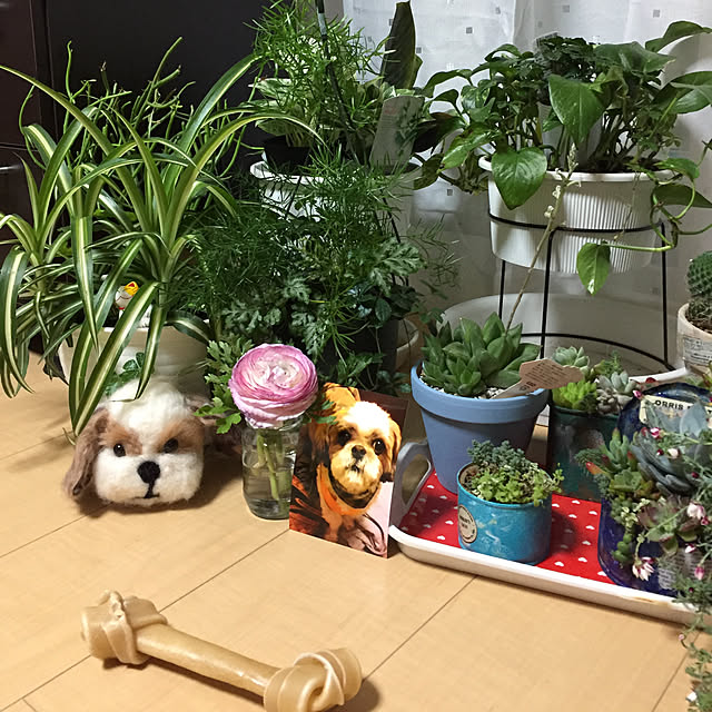 emiさんの実例写真
