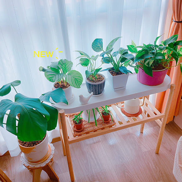 yuyuさんの実例写真