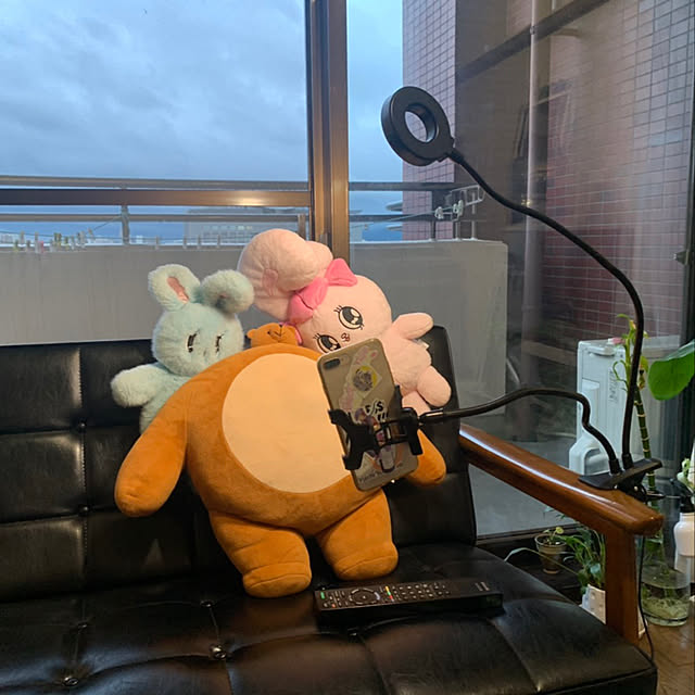 azuki86さんの実例写真