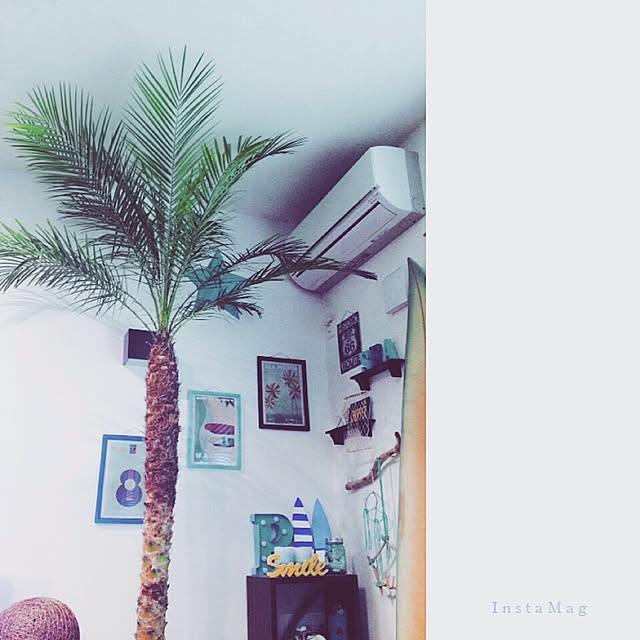 harusoraさんの実例写真
