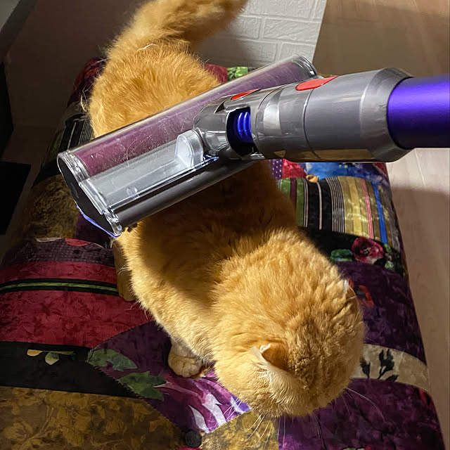 Mahoさんの実例写真